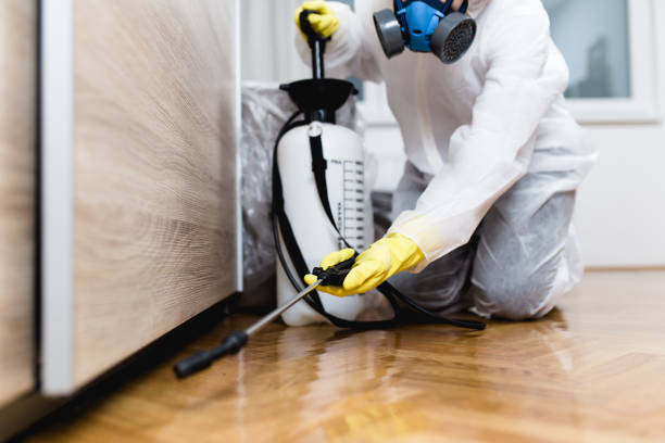 Best Pest Inspection Near Me  in Lavaca, AR
