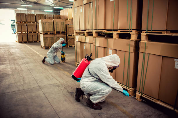 Reliable Lavaca, AR Pest Control Solutions