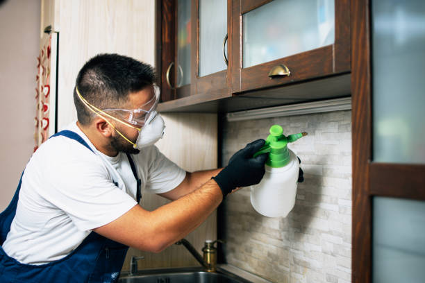 Best Commercial Pest Control Services  in Lavaca, AR