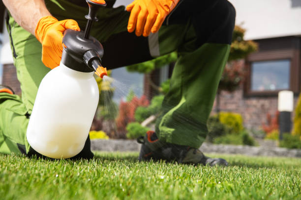 Best Flea Control Services  in Lavaca, AR