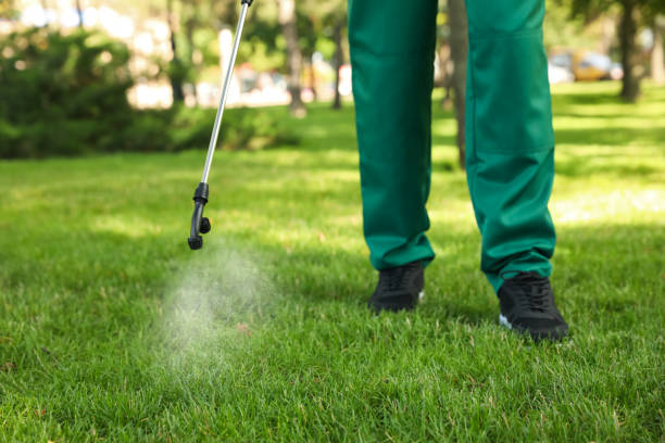 Best Pest Removal Services  in Lavaca, AR