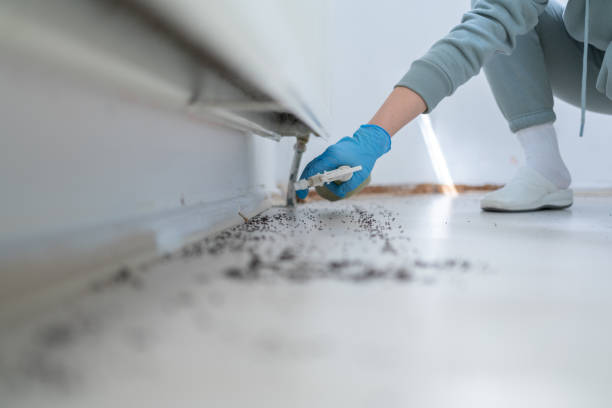 Pest Prevention Services in Lavaca, AR